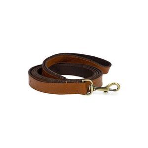 Patricia Nash Pet Leash 1" Width NWT
